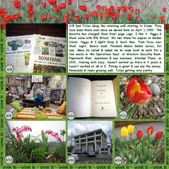 2012 52 Week 15