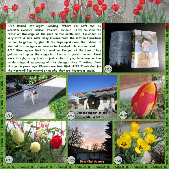 2012 52 Week 16