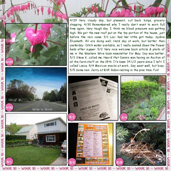 2012 52 Week 18