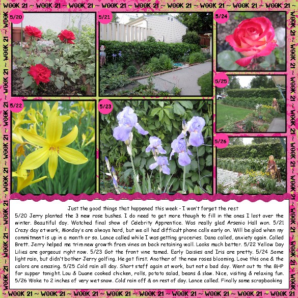 2012 52 Week 21