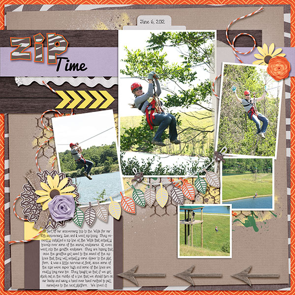 2012-8_zip_line_at_the_wilds