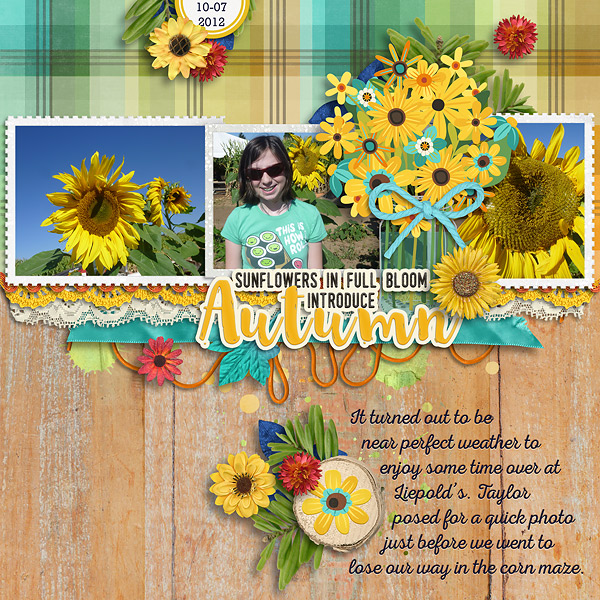 2012 Autumn Sunflowers