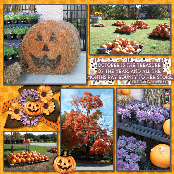 2012 Fall Colors