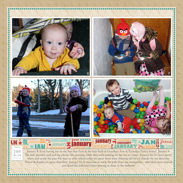 2012 P366 Jan 8-14b