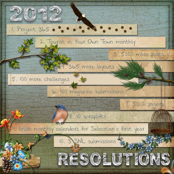2012  Resolutions