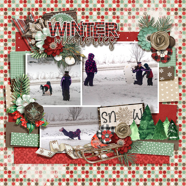 2012 Snow