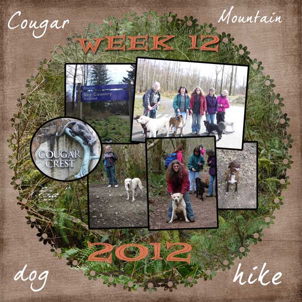 2012-week-12