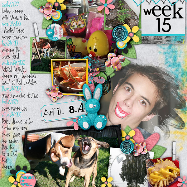 2012 - Week 15