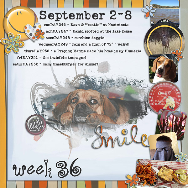 2012 - Week 36