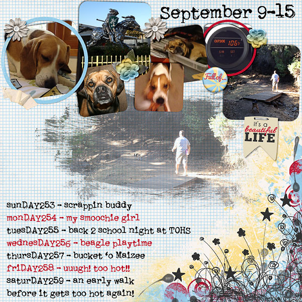 2012 - Week 37