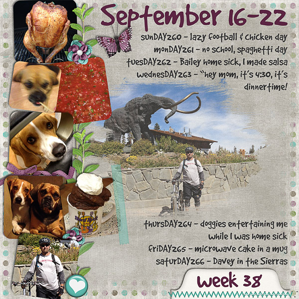 2012 - Week 38