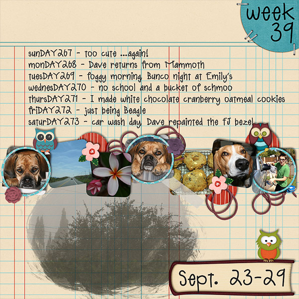 2012 - Week 39