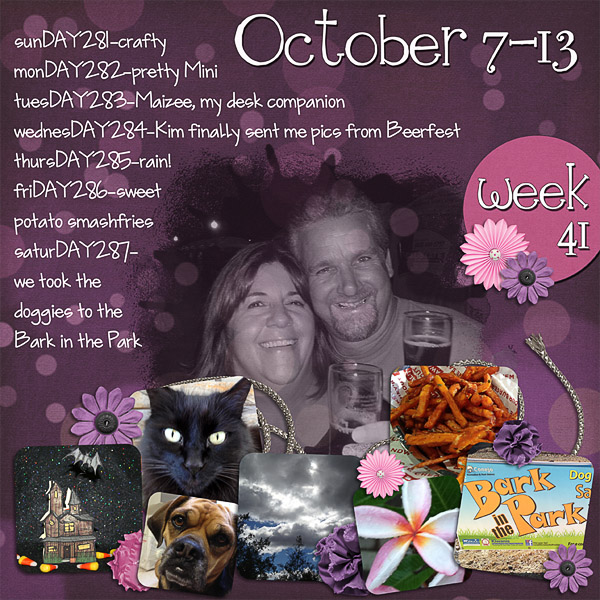 2012 - Week 41