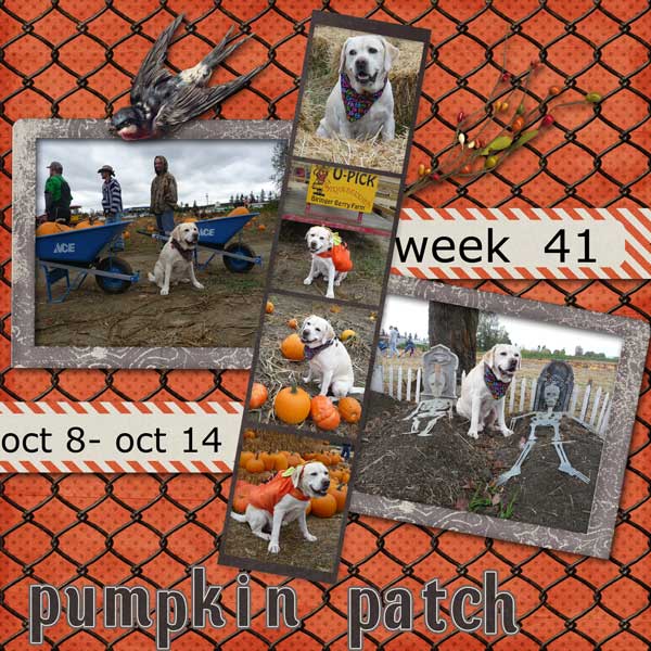 2012-week-41