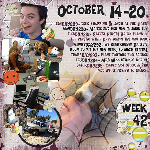 2012 - Week 42