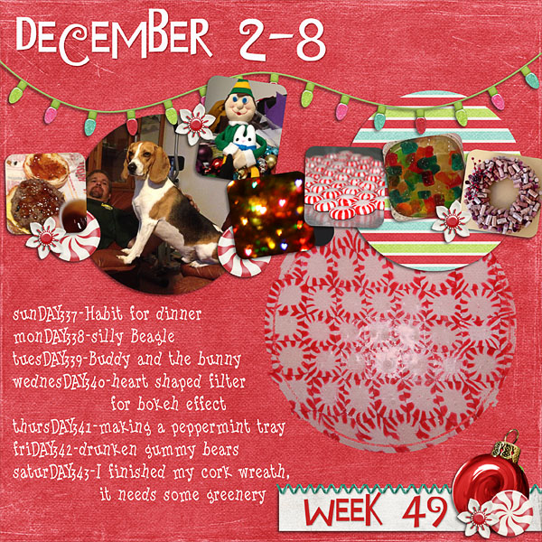 2012 - Week 49