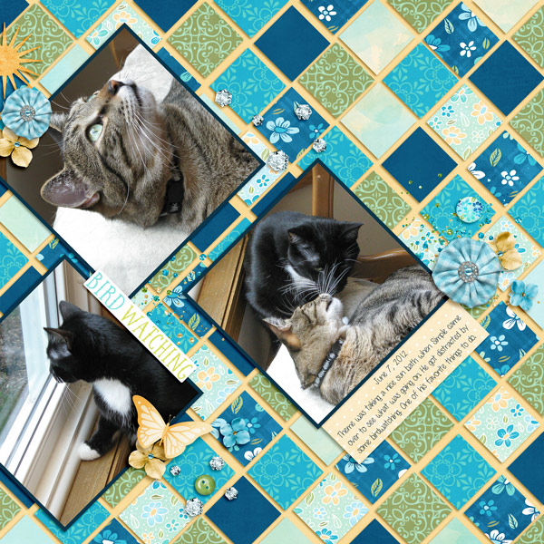 20120607-ljd_Templates_Angled1_3