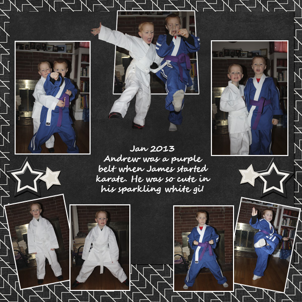 2013 01 Karate