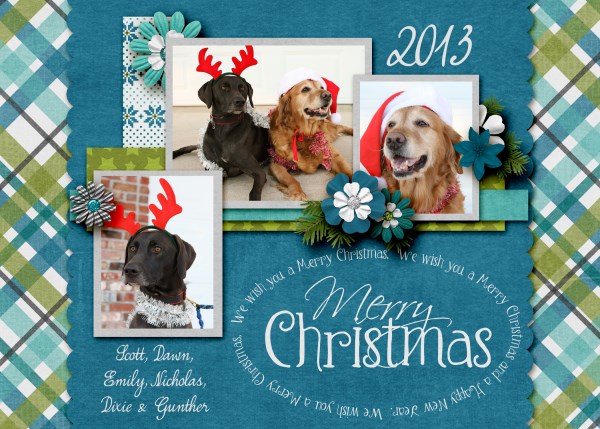 2013 Christmas Card