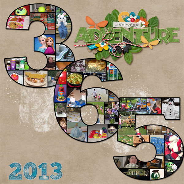 2013 cover page