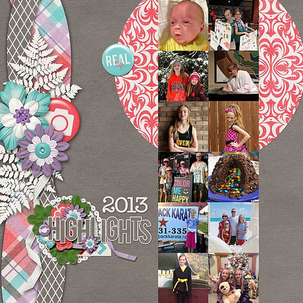 2013 Highlights