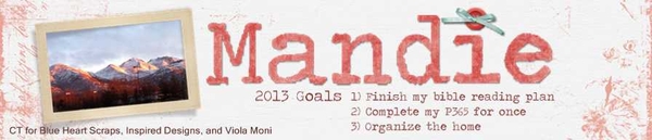2013 January Siggy