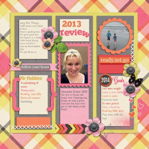 2013 review