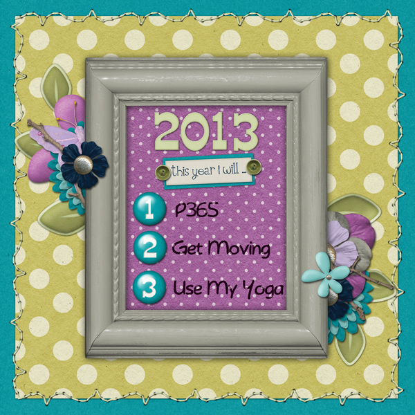 2013:  This year I will...