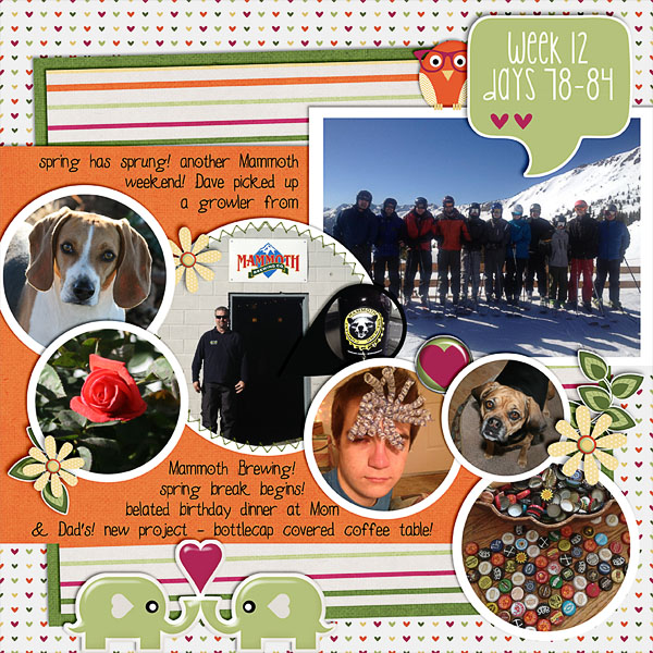 2013 - Week 12