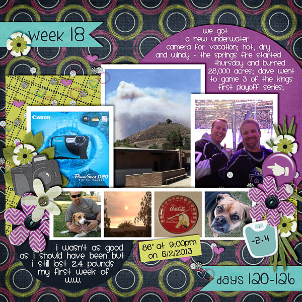 2013 - Week 18