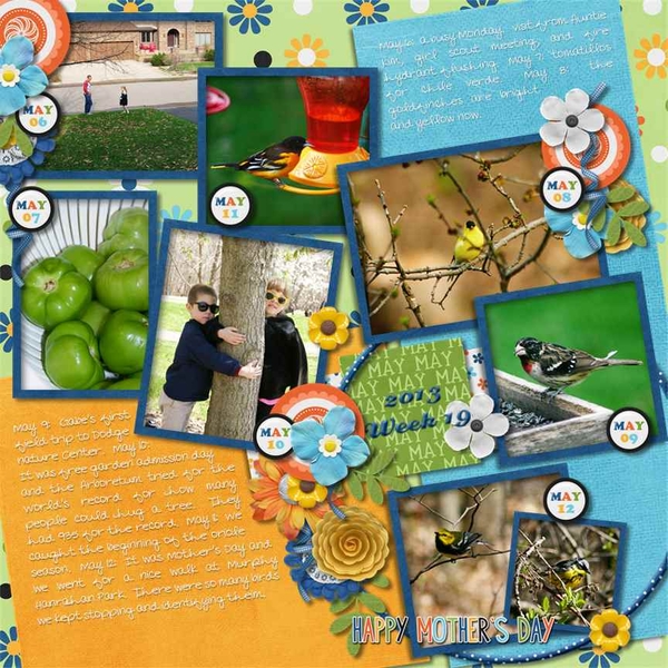 2013, week 19