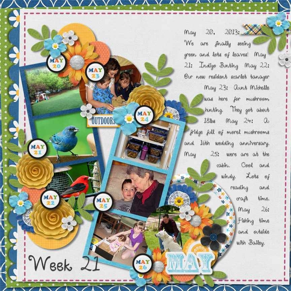 2013, week 21