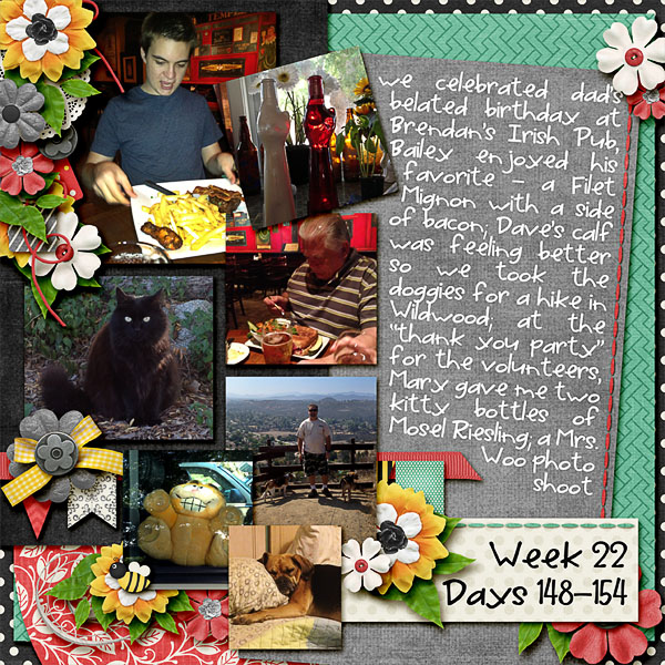 2013 - Week 22