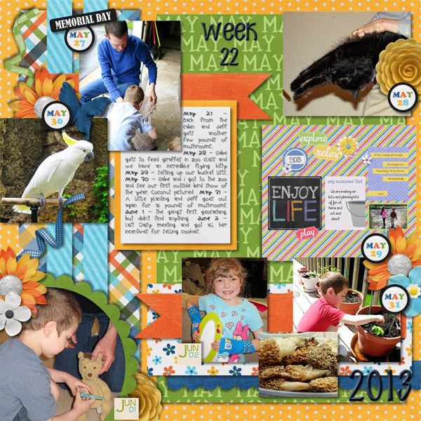 2013, week 22