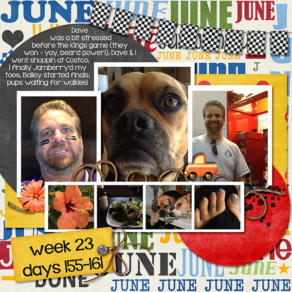 2013 - Week 23