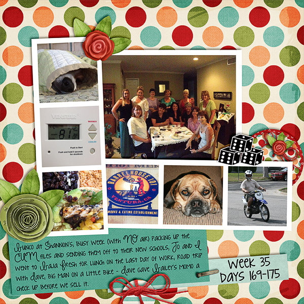 2013 - Week 25