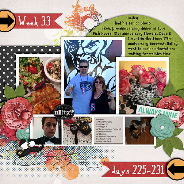 2013 - Week 33