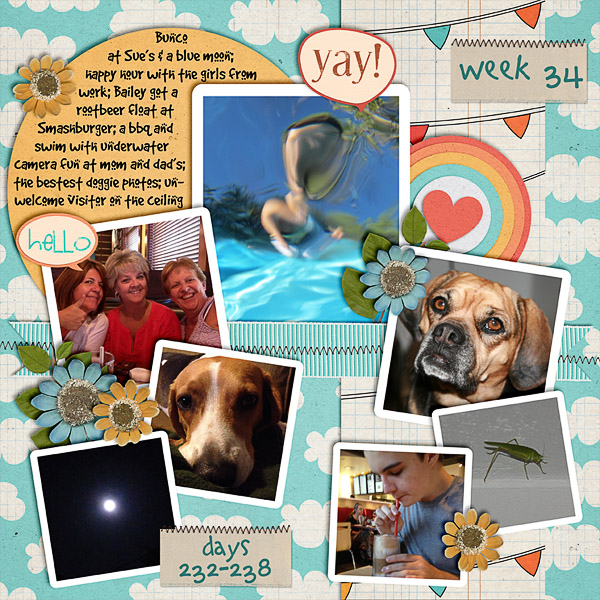 2013 - Week 34