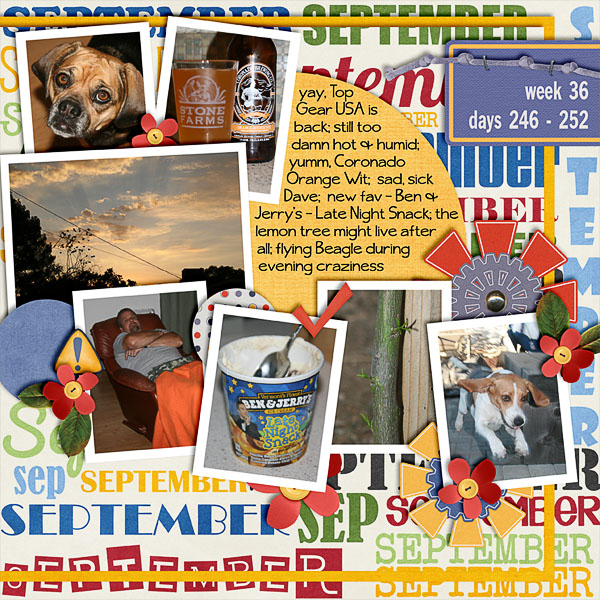 2013 - Week 36