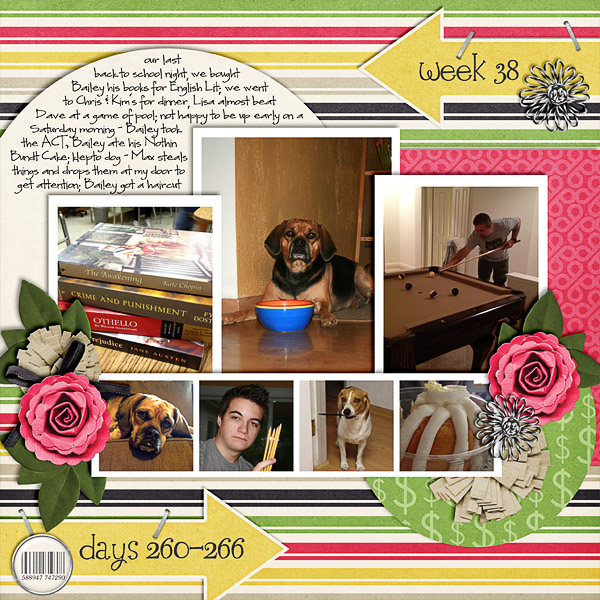 2013 - Week 38