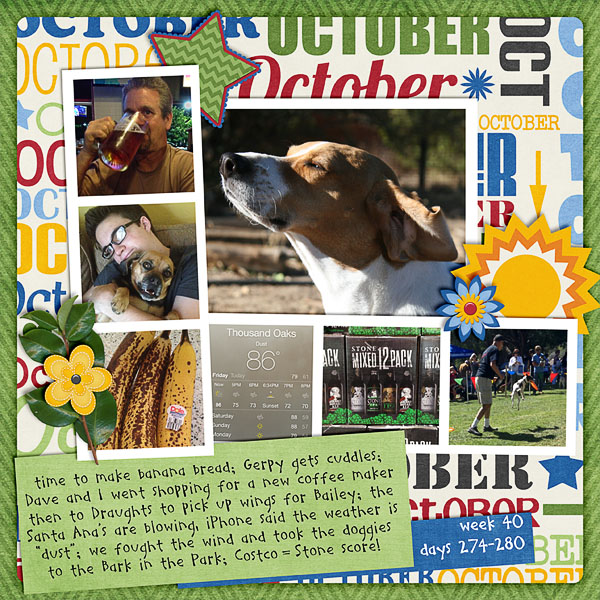 2013 - Week 40