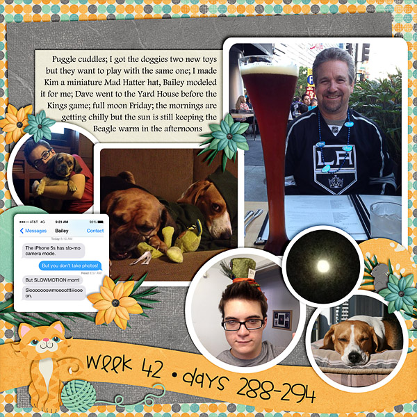 2013 - Week 42