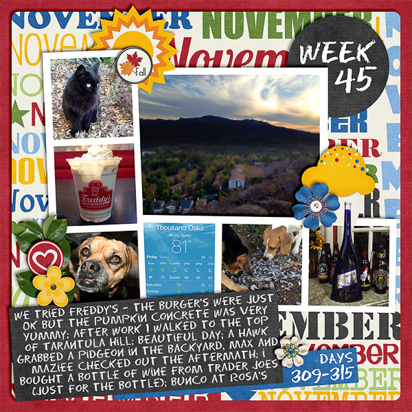 2013 - Week 45