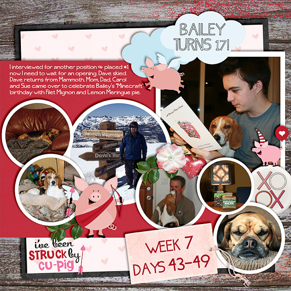 2013 - Week 7