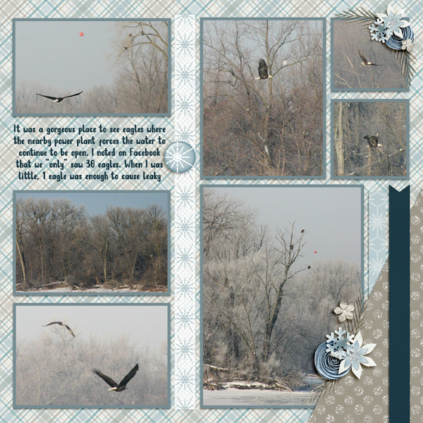 20131227 Searching for Eagles on the Mississippi