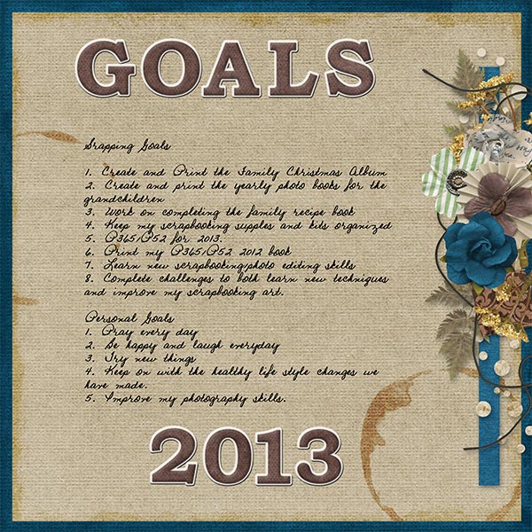2013_Goals1