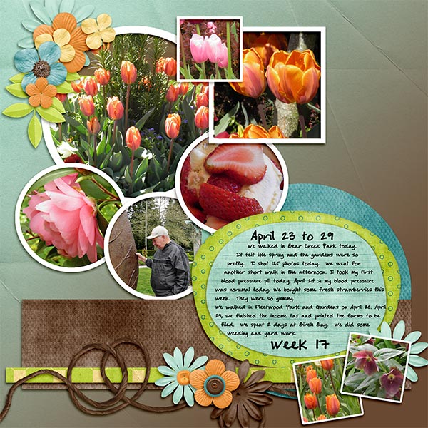 2013_Week17