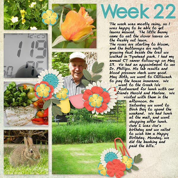 2013_week22