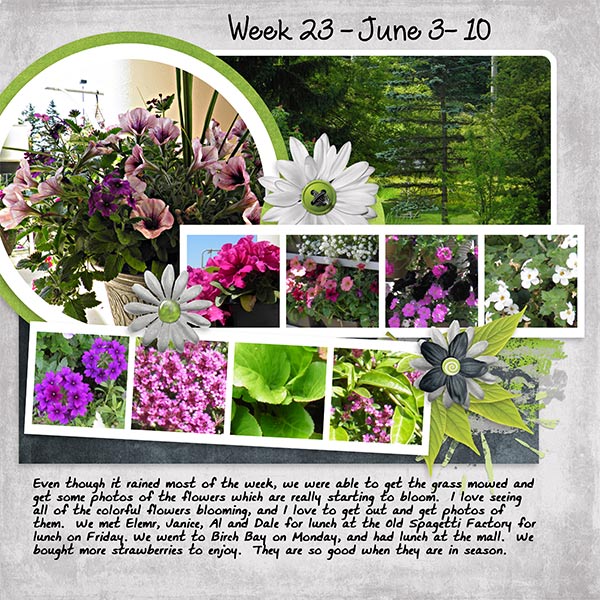 2013_Week23