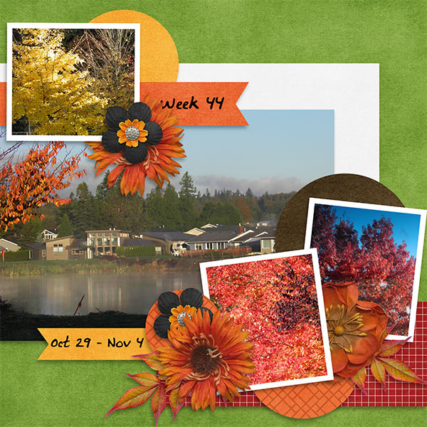 2013_Week44